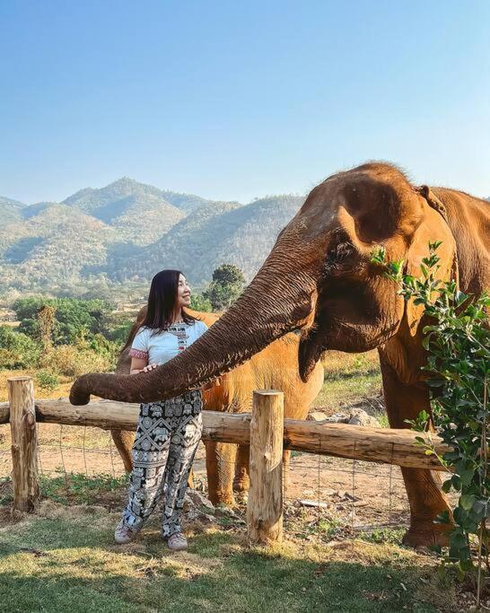 Elephantpoolvilla Maetang Chiangmai Ban Muang Kut Exterior foto